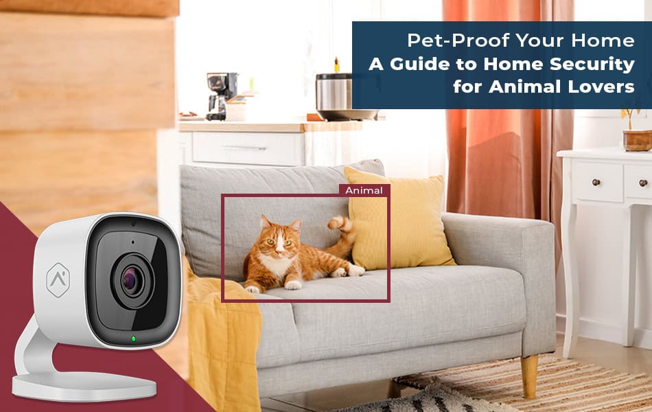 cat in the sofa with Indiana Alarm smart home system