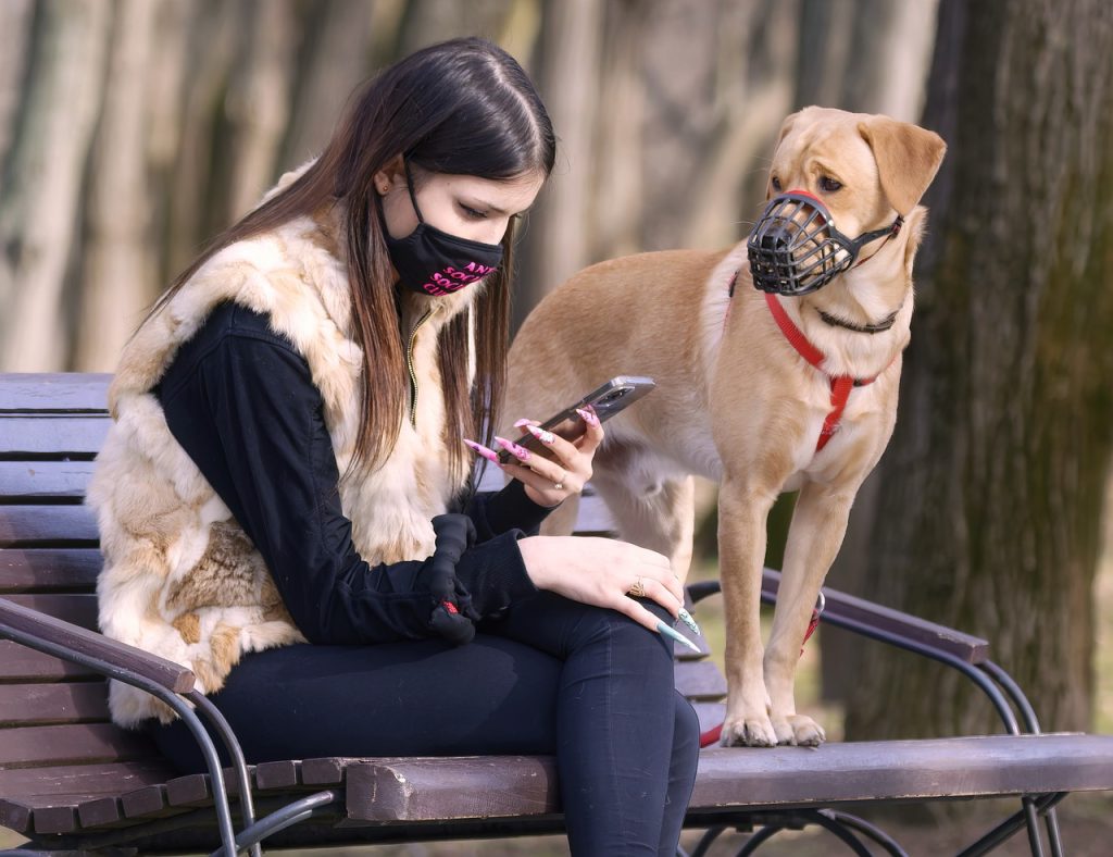 How To Make A Smart Home System For Pet Owners 7 safe home system